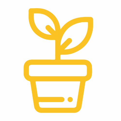 Free Life Chapel values growth
