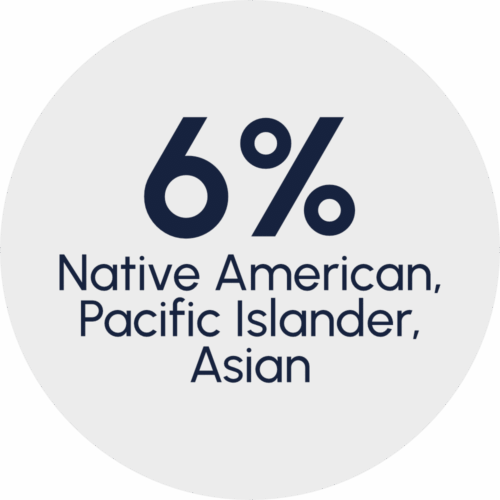 Congregation 6% Native American, Pacific Islander, Asian - 2025 congregational survey